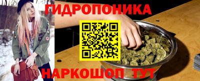 гашик Шахты