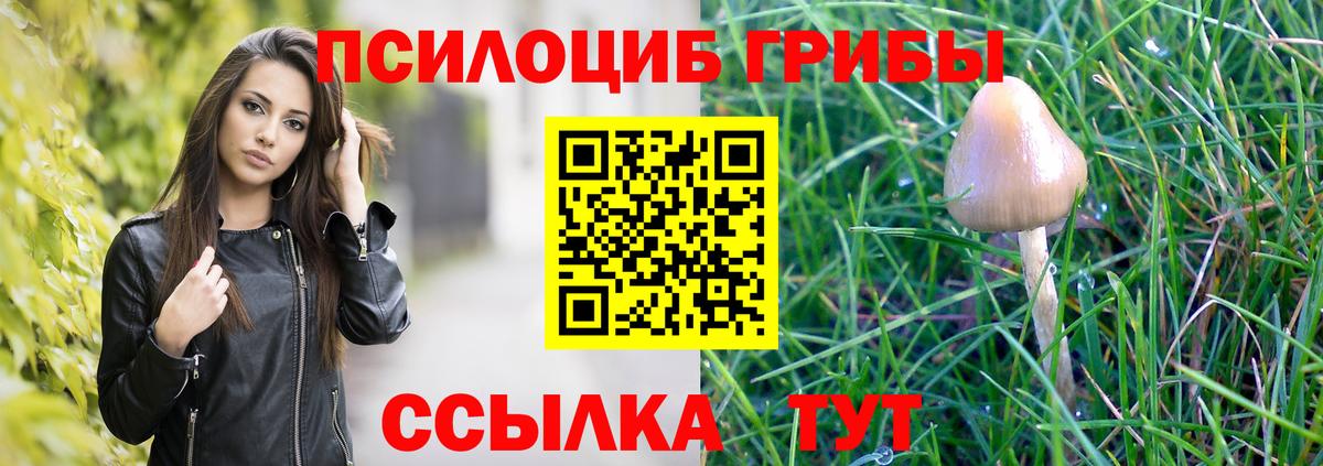 Галлюциногенные грибы GOLDEN TEACHER Благодарный